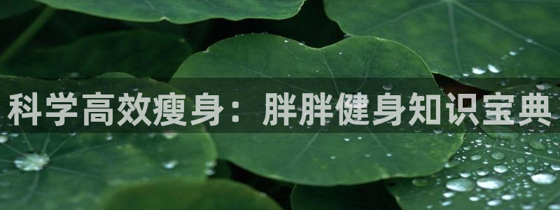 球友会在线登录
